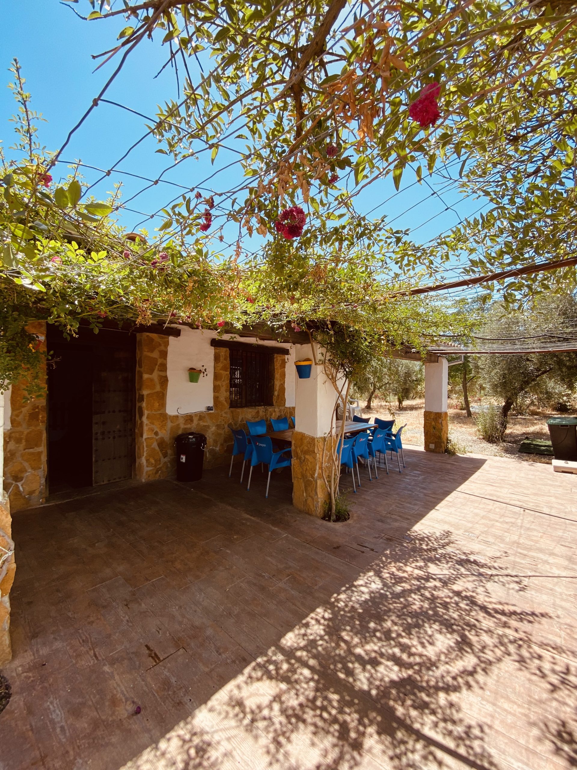 Piscina privada con tumbonas en alojamiento rural de Pruna